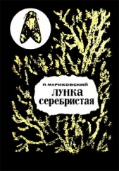 Лунка серебристая - автор Мариковский Павел Иустинович 