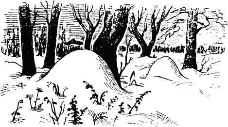 Маленькие труженики леса - _003.png