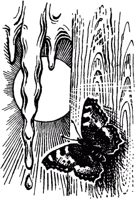 Маленькие труженики леса - _017.png