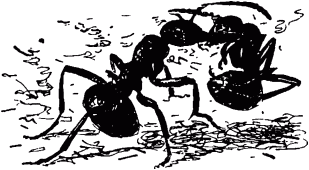 Маленькие труженики леса - _034.png