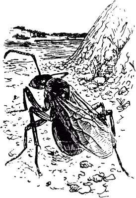 Маленькие труженики леса - _050.png