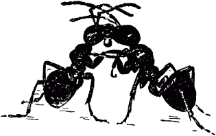 Маленькие труженики леса - _063.png