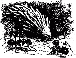 Маленькие труженики леса - _080.png