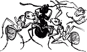 Маленькие труженики леса - _083.png