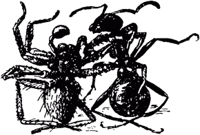 Маленькие труженики леса - _101a.png