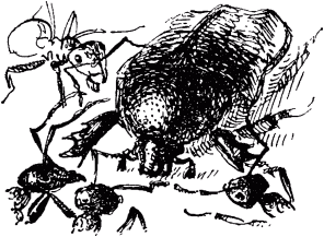 Маленькие труженики леса - _103.png