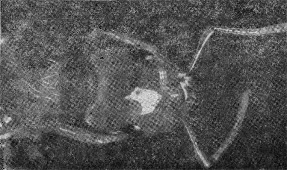 Маленькие труженики пустыни - i_012.jpg