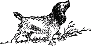 Муравей-путешественник - _22.png