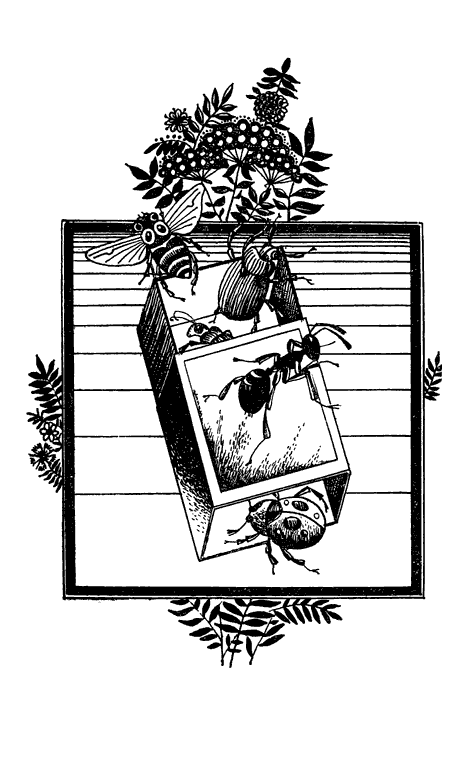 Насекомые вокруг нас - i_001.png