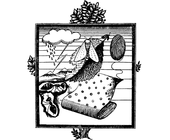 Насекомые вокруг нас - i_005.png