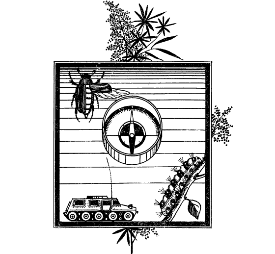 Насекомые вокруг нас - i_006.png