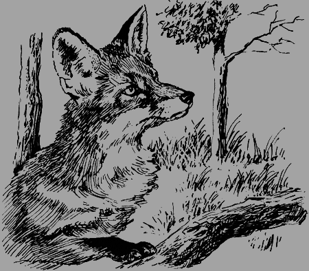 Неожиданные встречи - img15.png