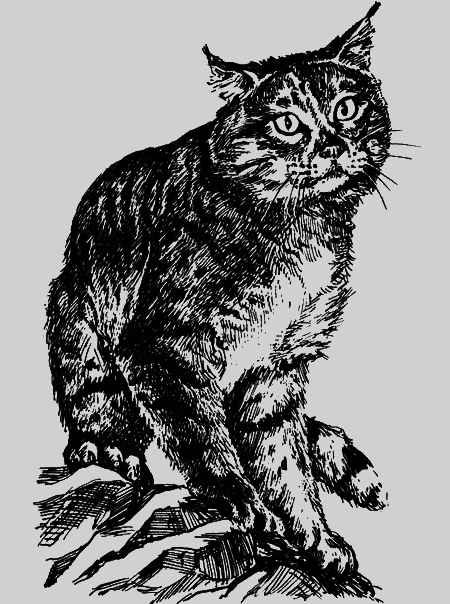 Неожиданные встречи - img20.png