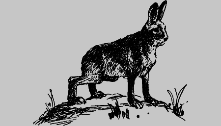 Неожиданные встречи - img21.png