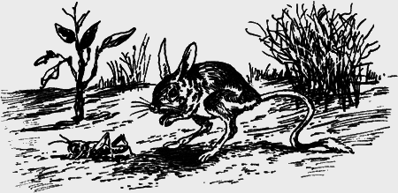 Неожиданные встречи - img25.png