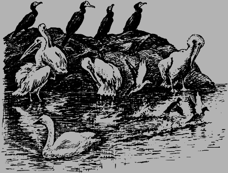 Неожиданные встречи - img31.png