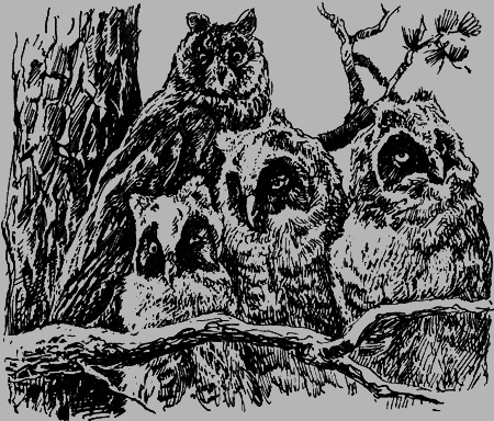 Неожиданные встречи - img33.png