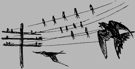 Неожиданные встречи - img41.png