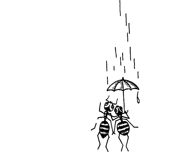 Тайны мира насекомых - i_039.png