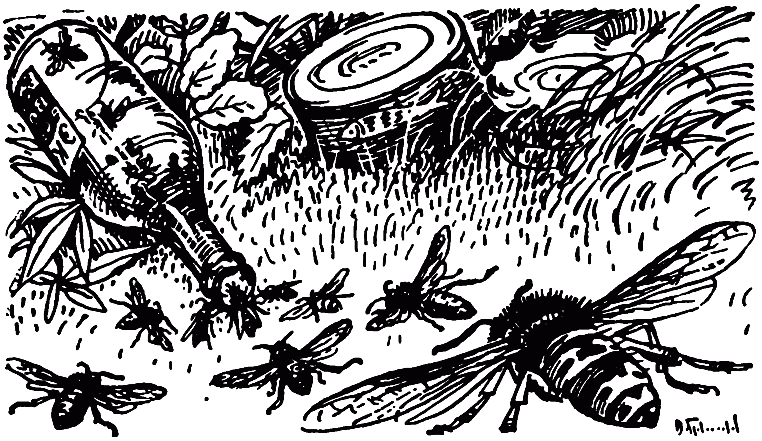 Чем питаются насекомые - i_024.png