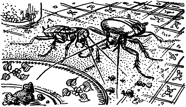 Чем питаются насекомые - i_025.png