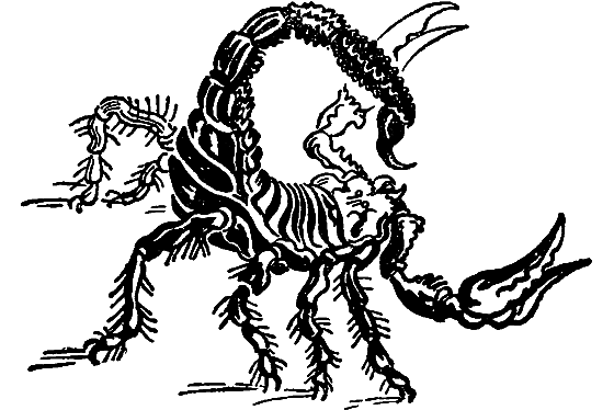 Чудесная пестрокрылка - i_034.png