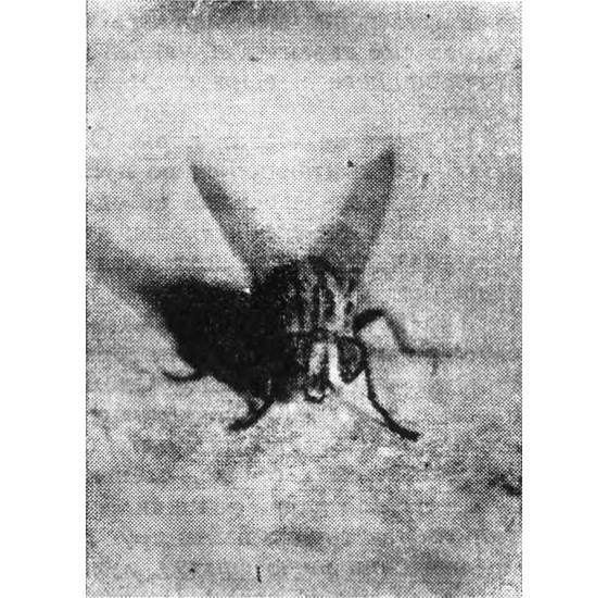 Шагая по пустыне... - i_010.jpg