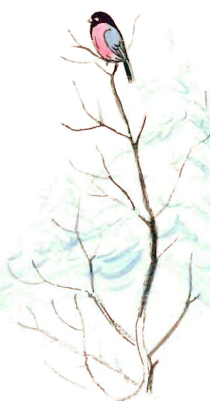 Чем помочь медведю? (рис. Сутеева) - i_020.jpg