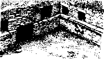 Поклоняющиеся звездам - i_006.png