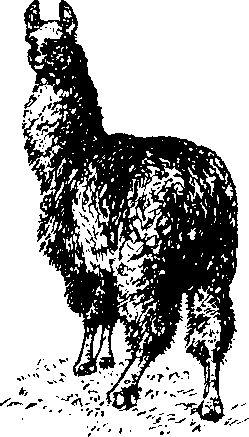 Поклоняющиеся звездам - i_047.png