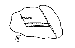 Справочник сталкера. Азбука выживания - any2fbimgloader30.png