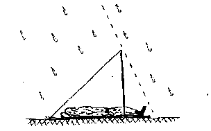 Справочник сталкера. Азбука выживания - any2fbimgloader33.png