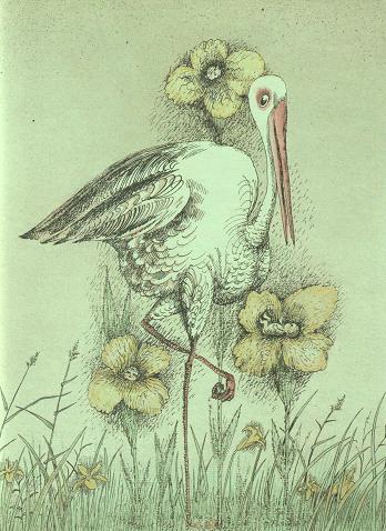 Ведьмы и все прочие - i_089.jpg