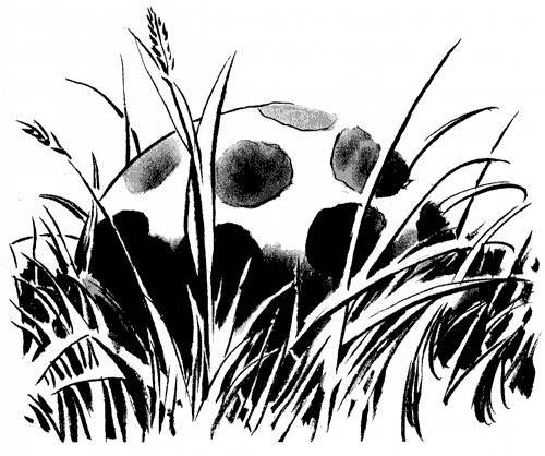 Звери и монстры - _7.jpg