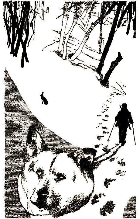 Мой знакомый медведь - i_002.png