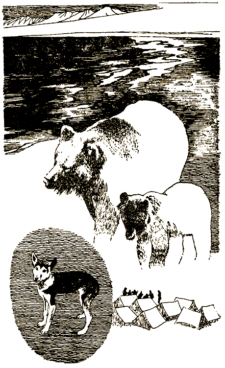 Мой знакомый медведь - i_005.png