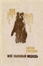 Мой знакомый медведь - автор Севастьянов Анатолий Александрович 