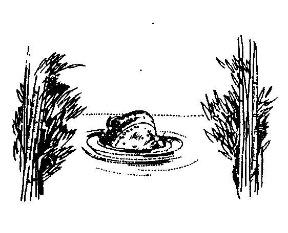 Когда Бог смеется (сборник рассказов-медитаций) - imgF7A8.jpg