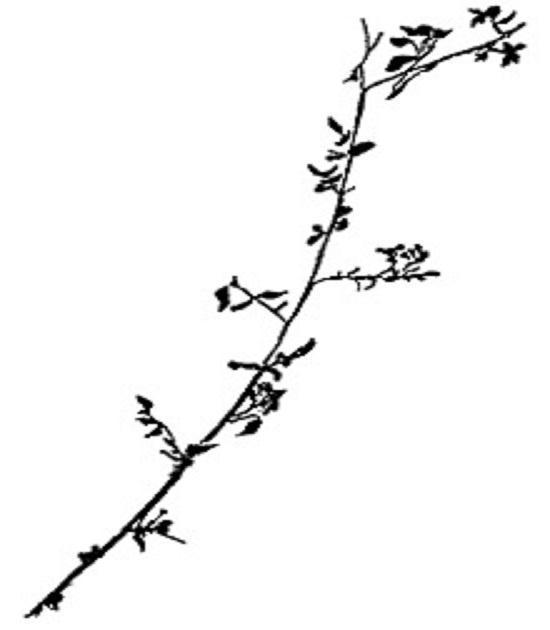 Одна минута мудрости (сборник медитативных притч) - imgD87D.jpg