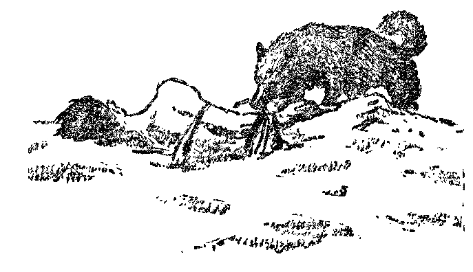 Люди нашего берега - i_017.png