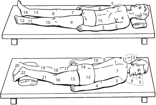 Большой справочник по массажу - _04.png