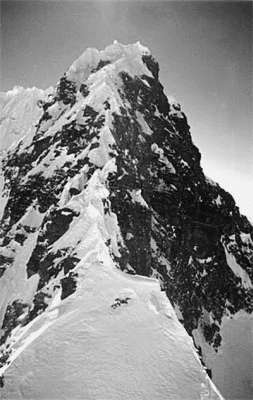 Рекорды в мире природы - i_009.jpg