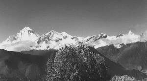 Рекорды в мире природы - i_013.jpg