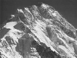 Рекорды в мире природы - i_014.jpg