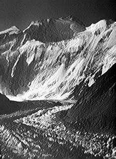 Рекорды в мире природы - i_016.jpg