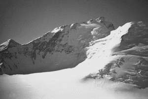 Рекорды в мире природы - i_017.jpg