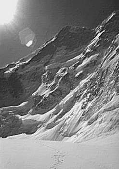 Рекорды в мире природы - i_019.jpg