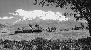 Рекорды в мире природы - i_023.jpg