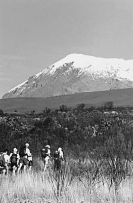 Рекорды в мире природы - i_025.jpg