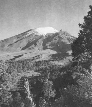 Рекорды в мире природы - i_029.jpg